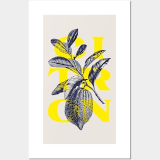 Lemon Posters and Art